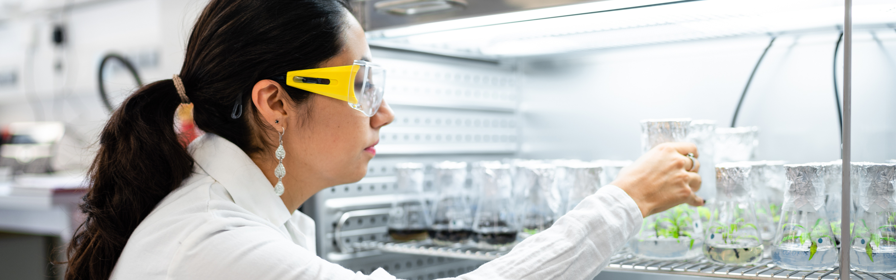 Studentin mit Arbeitsschutzbrille sichtet im Labor-Experiment Pflanzenwachstum in Erlenmeyerkolben