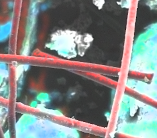 Dieses Bild zeigt Polypropylen-Fasern in einer Bodenmatrix durch eine REM/EDX-Aufnahme dargestellt. Die Kunststofffasern erscheinen dabei durch ihren hohen Gehalt an reinem Kohlenstoff sowie durch das Fehlen anderer Elemente rot.