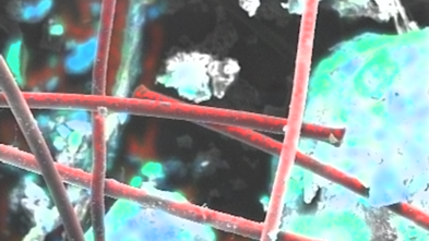 Dieses Bild zeigt Polypropylen-Fasern in einer Bodenmatrix durch eine REM/EDX-Aufnahme dargestellt. Die Kunststofffasern erscheinen dabei durch ihren hohen Gehalt an reinem Kohlenstoff sowie durch das Fehlen anderer Elemente rot.