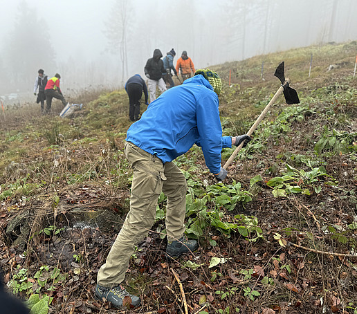 Ein Mann hackt den Waldboden auf.