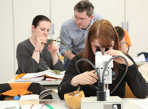 Lehrkräfte und Studenten sitzen im Labor an Mikroskopen