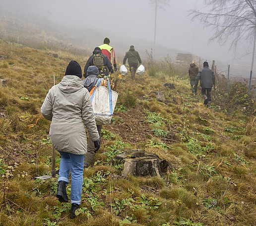 Eine Wandertruppe geht eine Waldlichtung entlang.