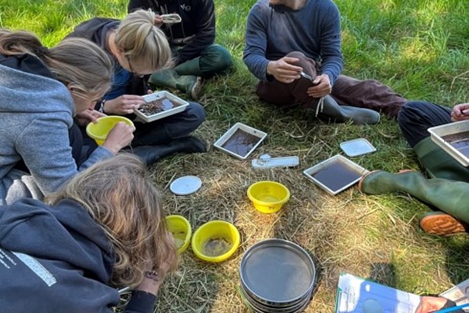 Studierende auf einer Wiese mit Schalen und Werkzeug, um die biologische Gewässergüte zu testen.