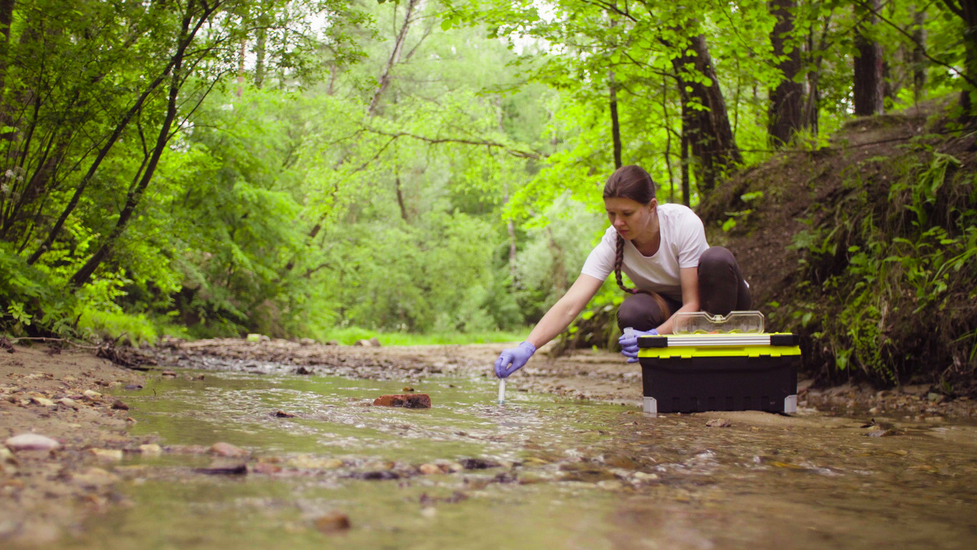 Naturschutz und Ökosystemmanagement