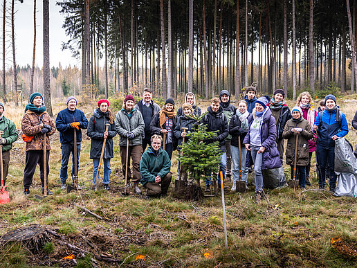 Eine Gruppe Studierender und Hochschulleitung im Zittauer Stadtwald mit Wiedekopfhauen stehen zum Gruppenbild in einer Reihe. In der Mitte steht eine eingepflanzte Tanne.