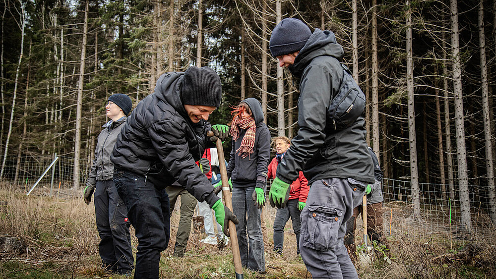 Studierende pflanzen Bäume ein mit Schaufeln.