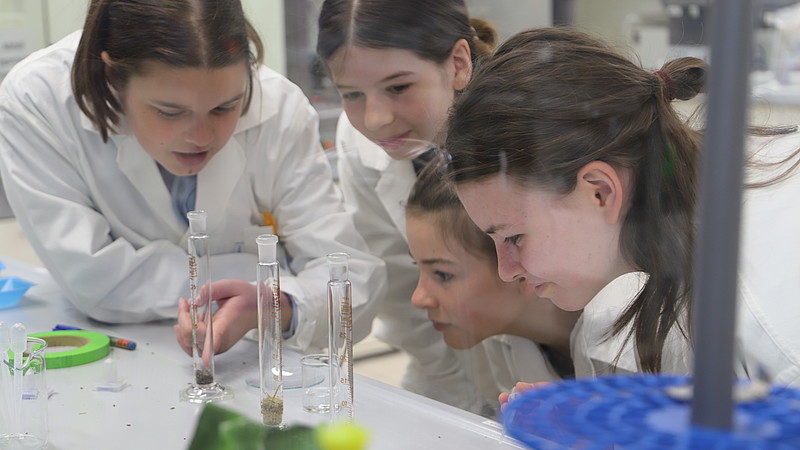 Schülerinnen und eine Labormitarbeiterin stehen am Labortisch vor Reagenzgläsern.