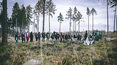 Studentengruppe im Wald